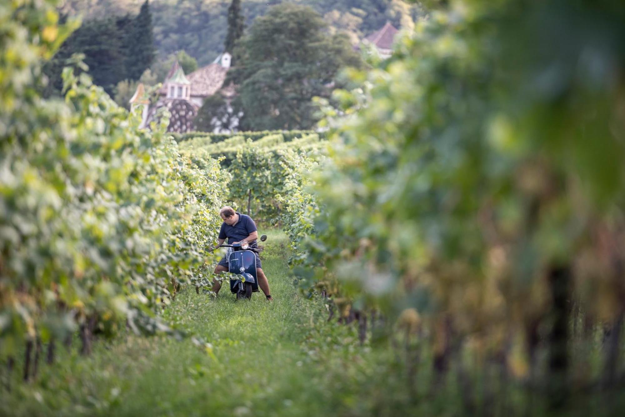 Weingut Klaus Lentsch Διαμέρισμα Appiano Sulla Strada Del Vino Εξωτερικό φωτογραφία