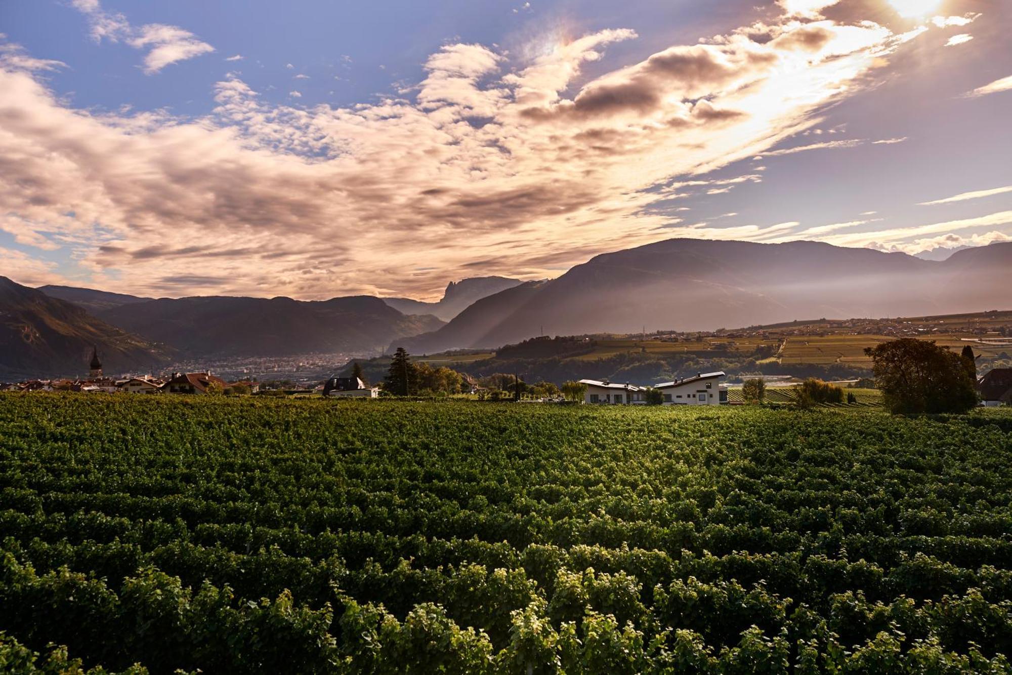 Weingut Klaus Lentsch Διαμέρισμα Appiano Sulla Strada Del Vino Εξωτερικό φωτογραφία