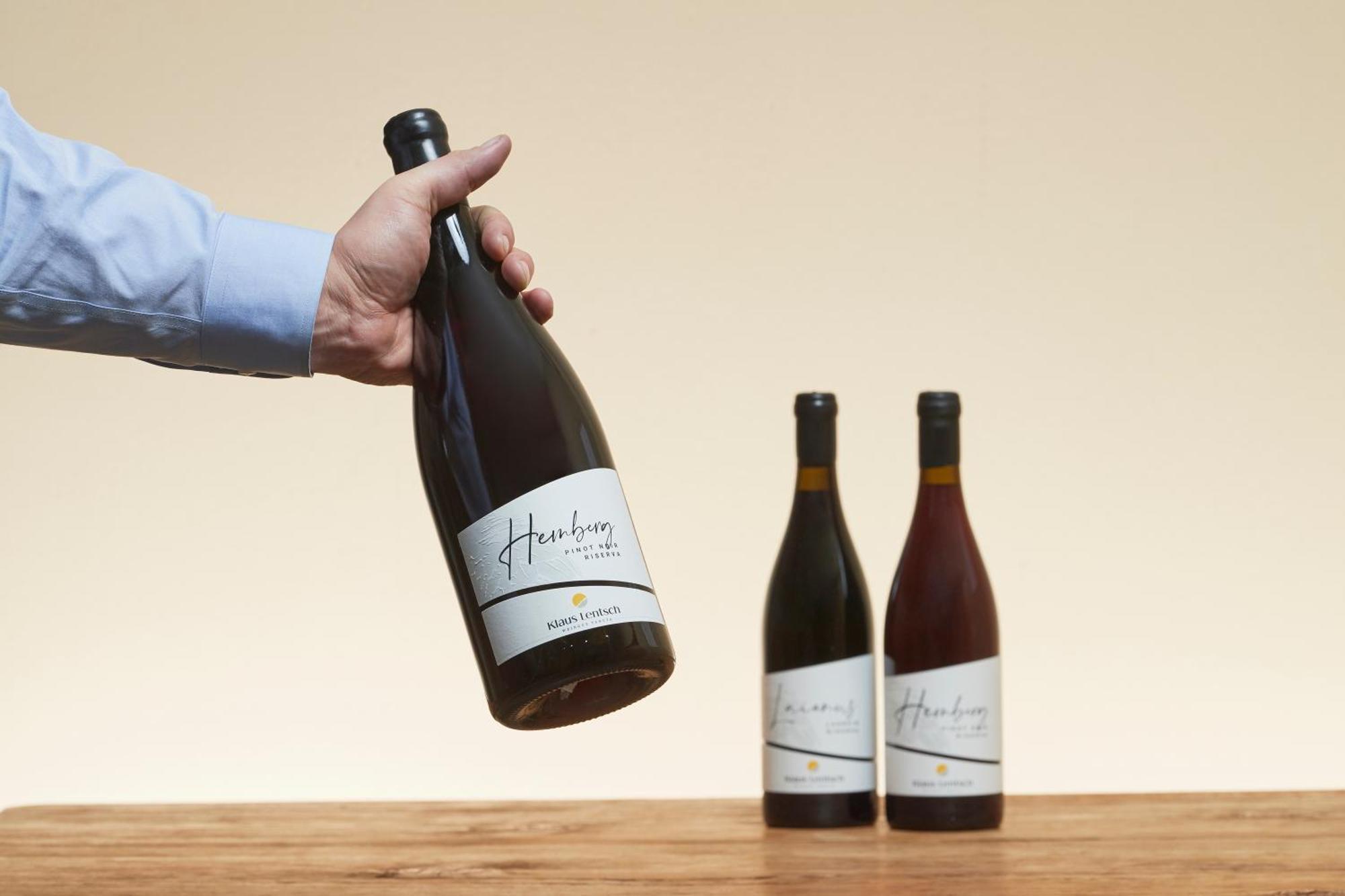 Weingut Klaus Lentsch Διαμέρισμα Appiano Sulla Strada Del Vino Εξωτερικό φωτογραφία