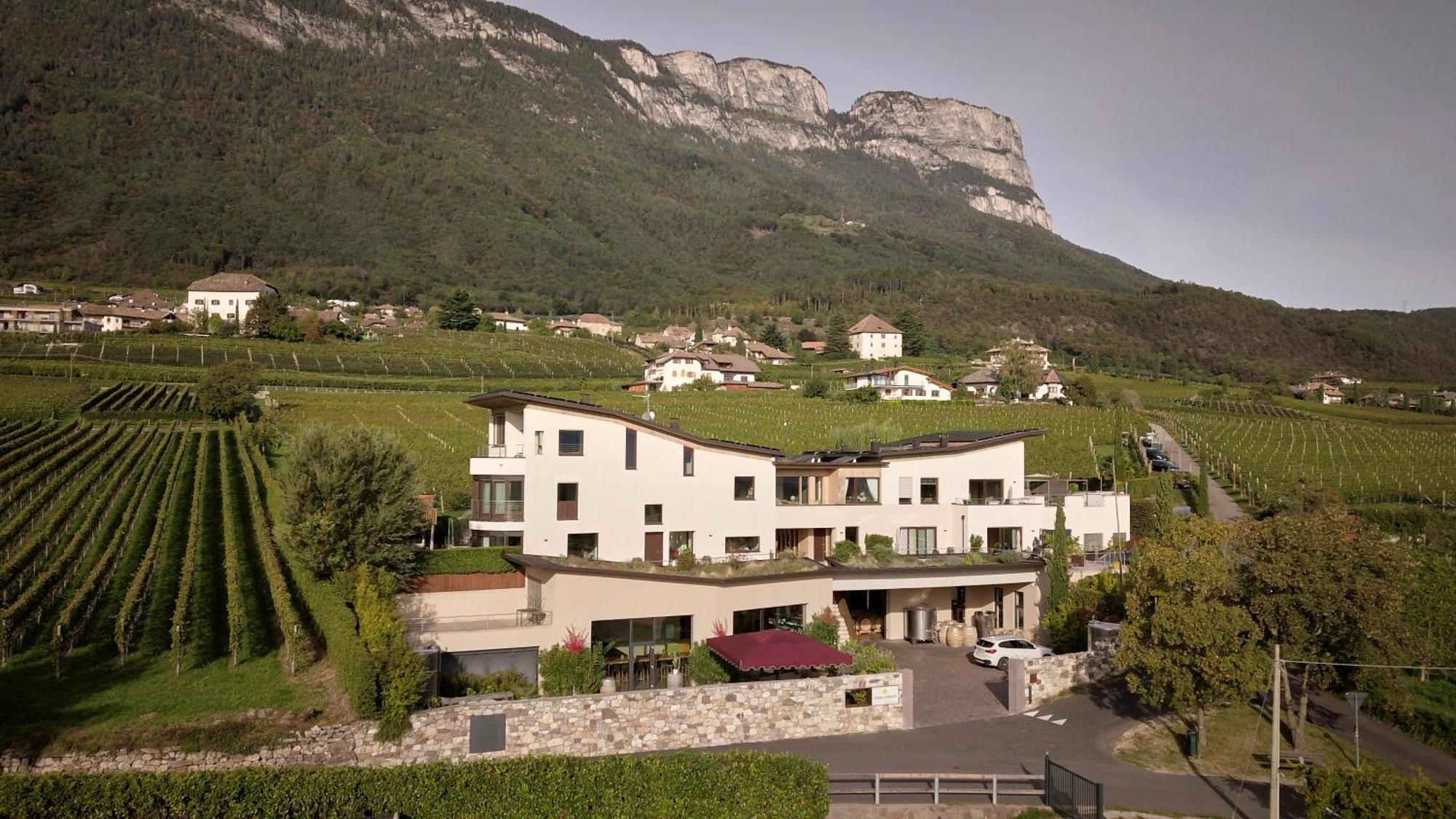 Weingut Klaus Lentsch Διαμέρισμα Appiano Sulla Strada Del Vino Εξωτερικό φωτογραφία